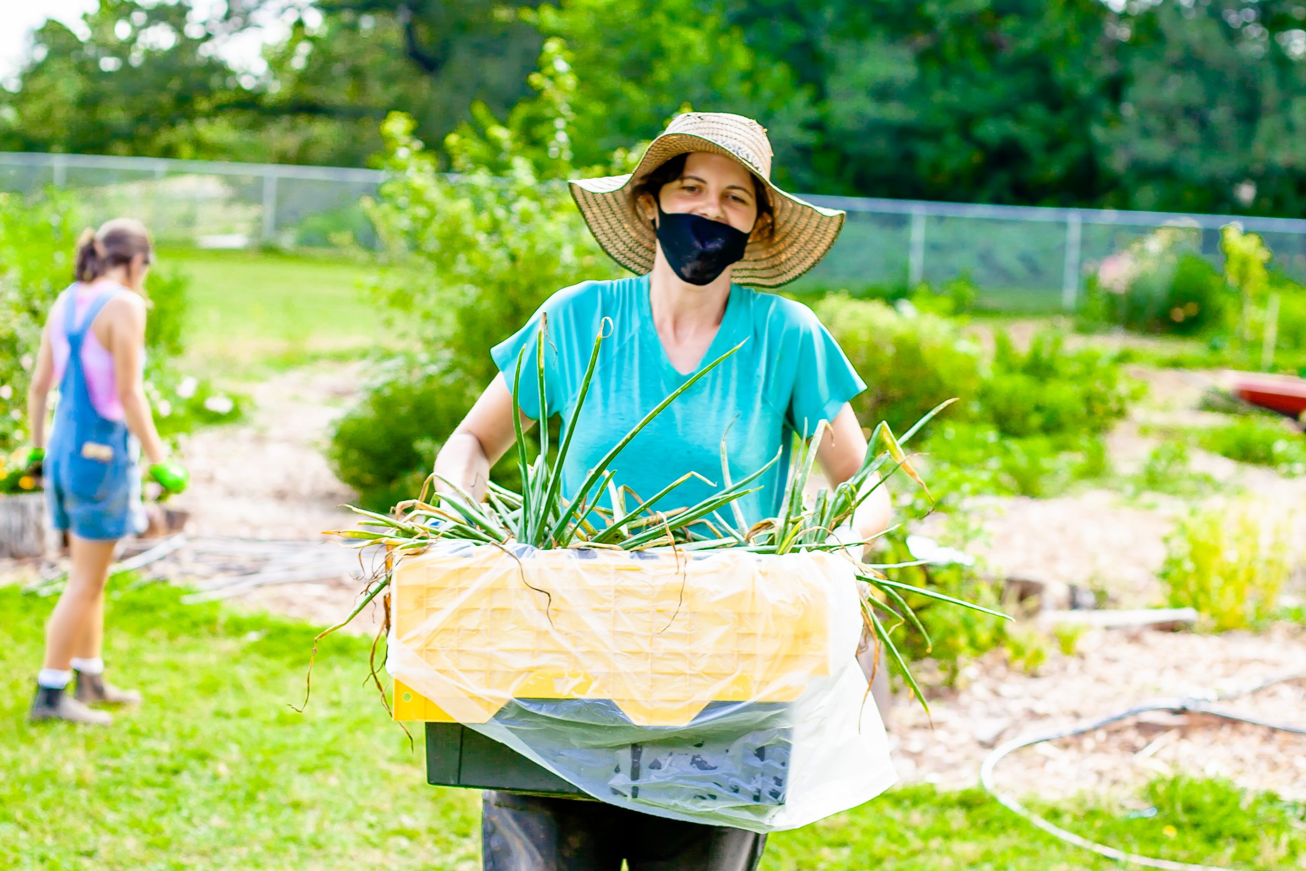 Fresh Veggies From The Farm